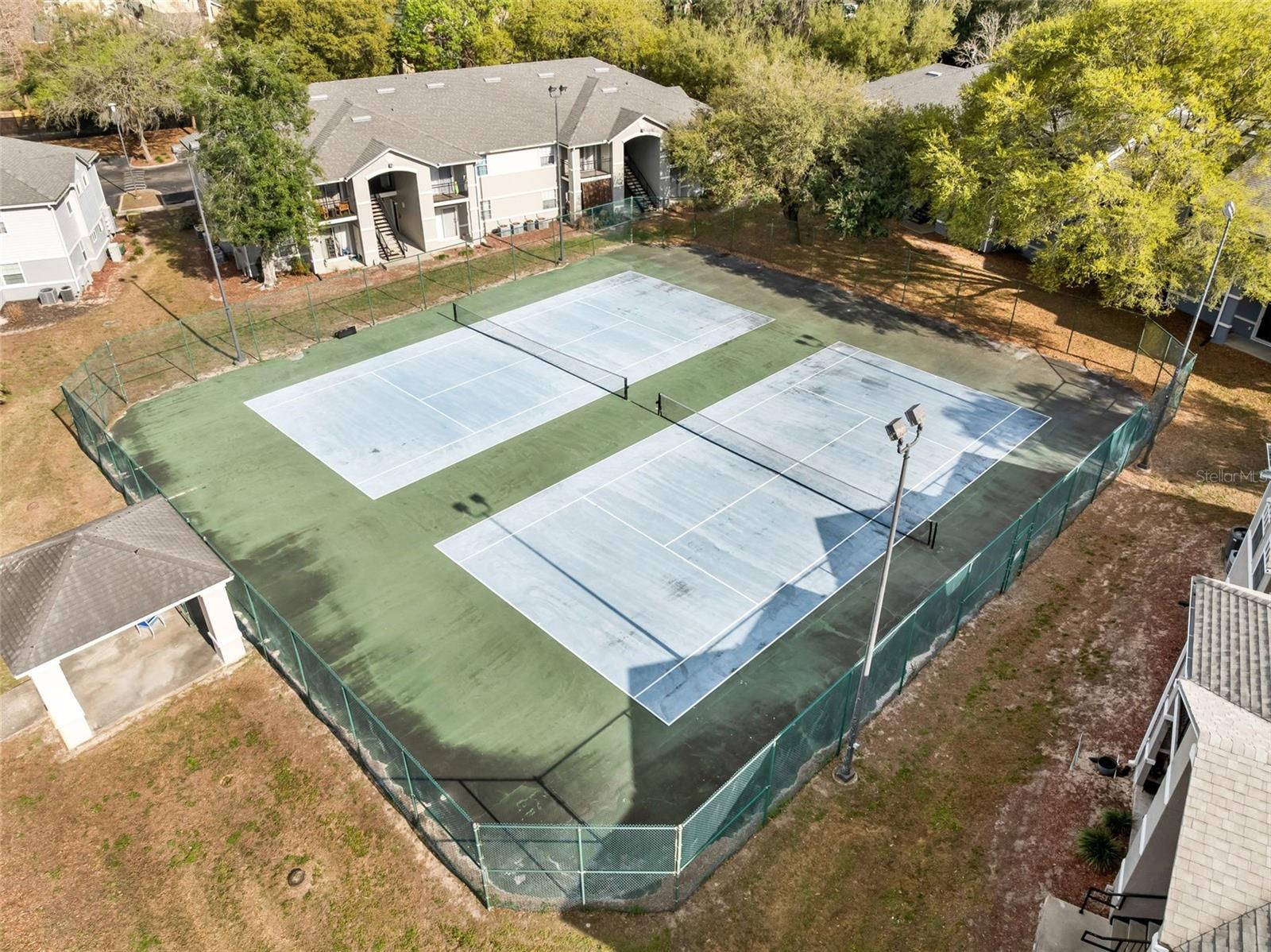 WINDSOR PARK AT GAINESVILLE PH II CONDO - Residential