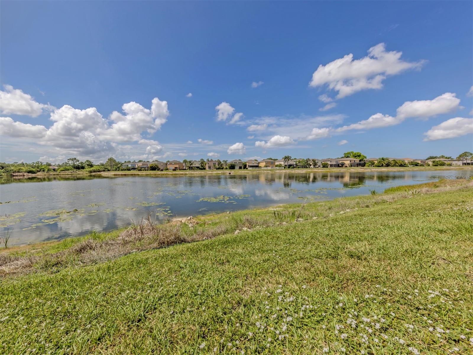STONEYWOOD COVE - Residential