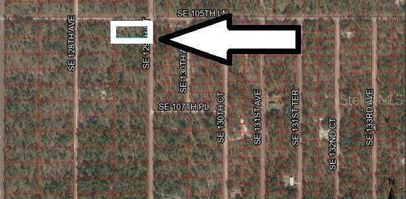 One acre (approx) corner lot in beautiful homes only Rainbow Lakes Estates! No HOA! High and Dry in Zone X. This corner lot sits on a paved road with electric nearby. Property is zoned for site built homes or modulars only...no mobile/manufactured homes. Enjoy access to Rainbow Lakes Estates playgrounds, Bonable Lake fishing pier, and community center without any HOA assessments. Convenient to Dunnellon, Williston, Gainesville, and Ocala. Access the Gulf, Rivers, and Forests that make this the Nature Coast of Florida!