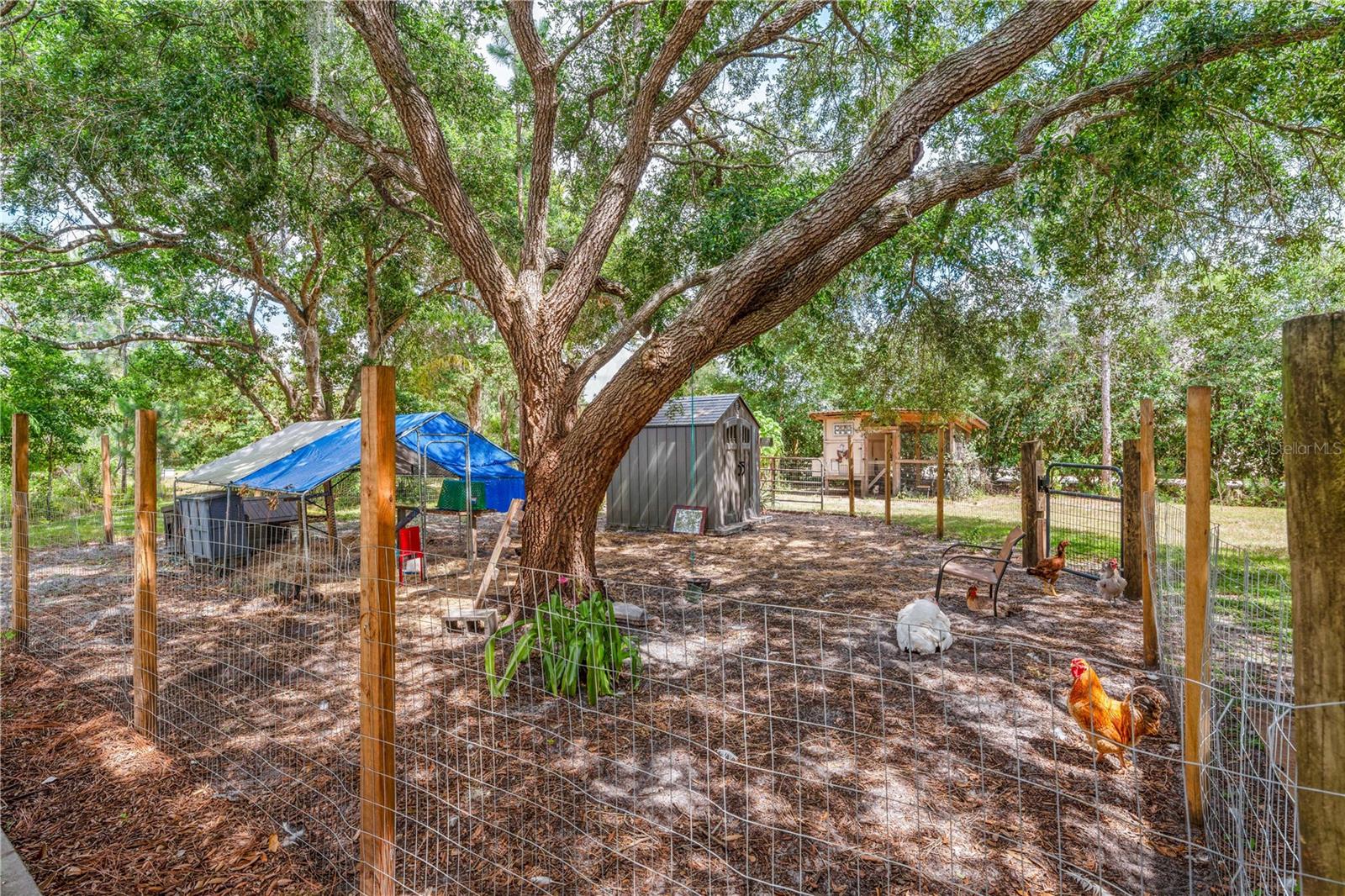 BAY LAKE RANCH UNIT 3 - Residential