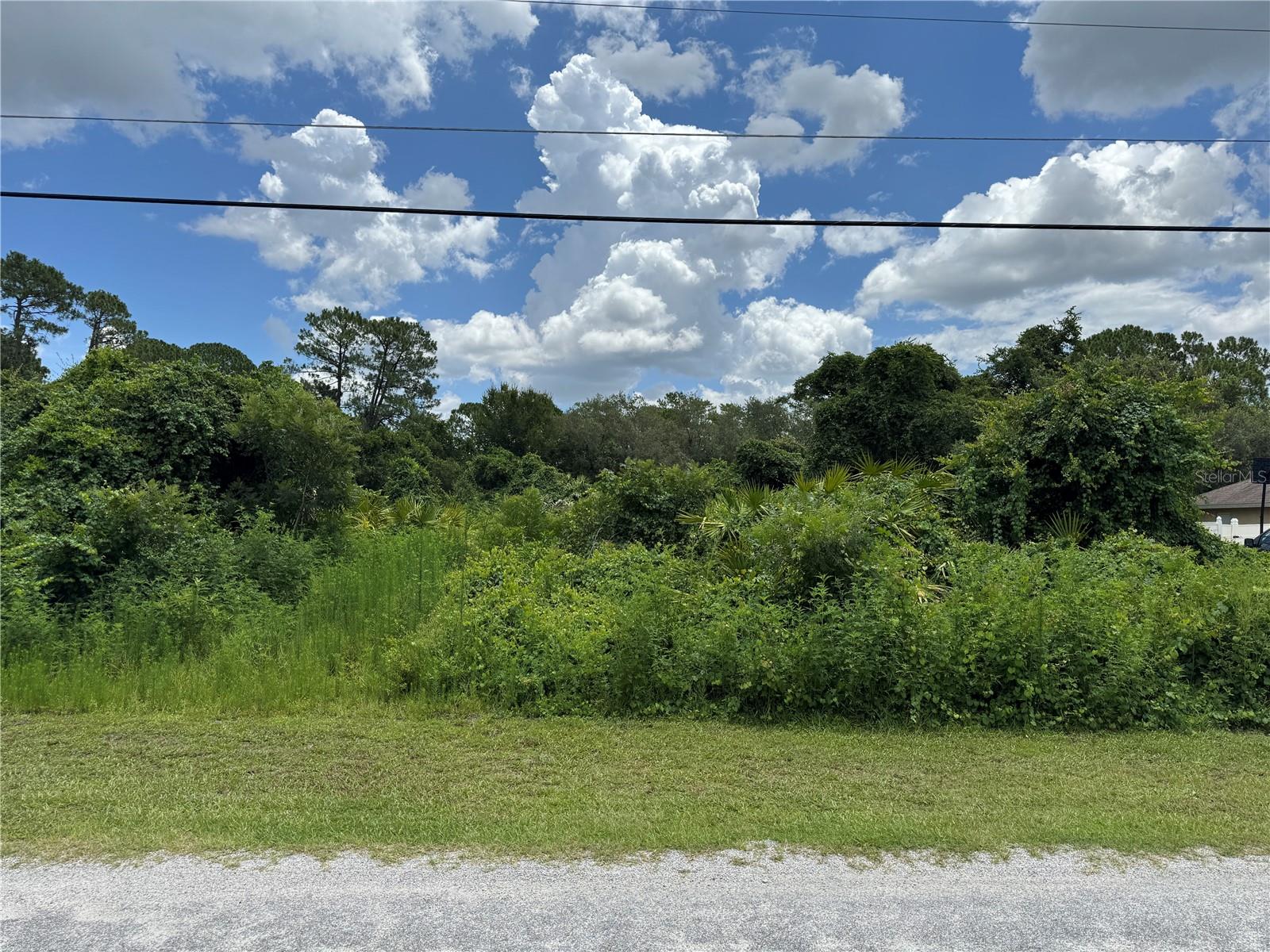 ST JOHNS RIVER ESTATES UNIT 01 - Land