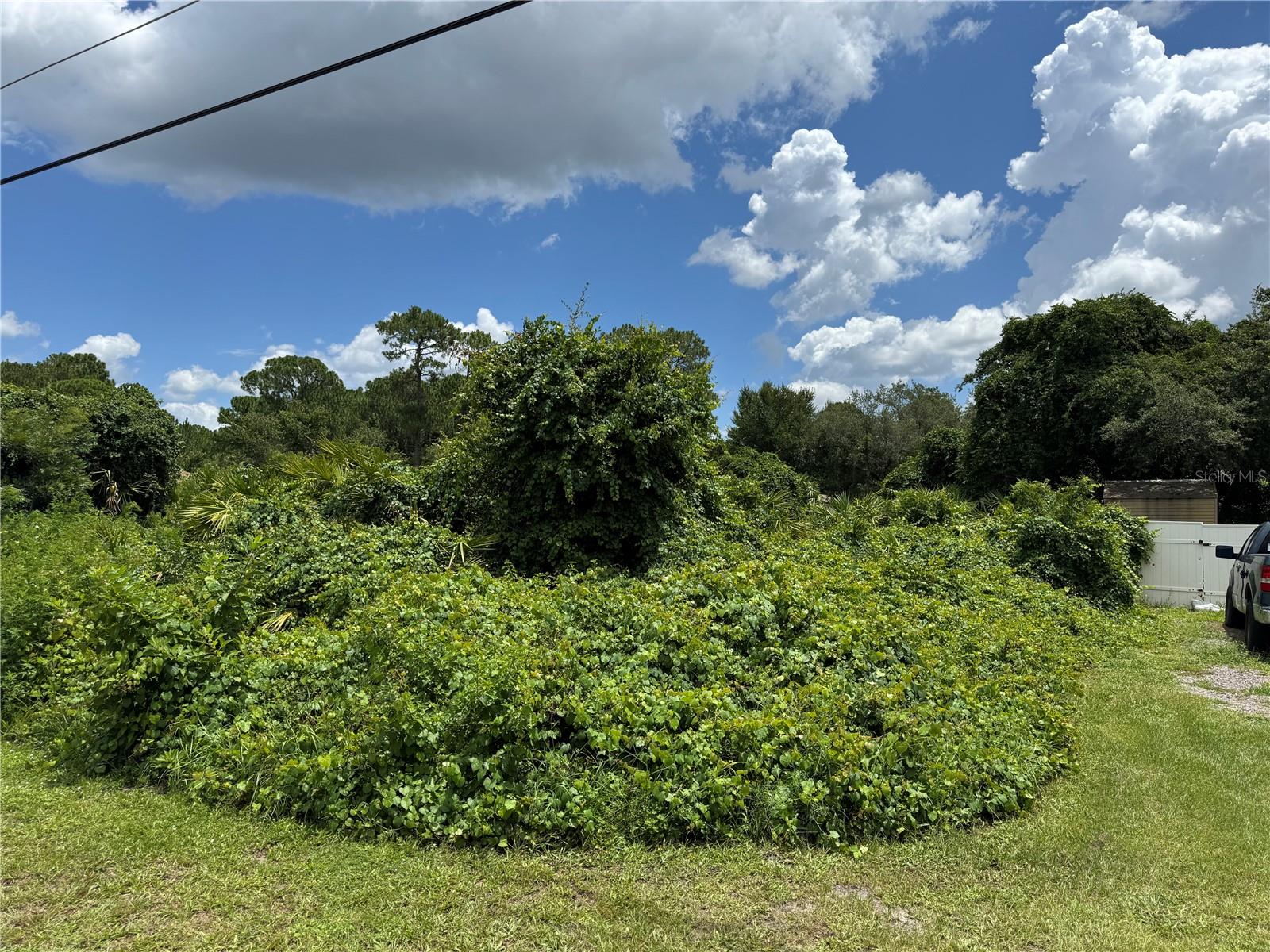 ST JOHNS RIVER ESTATES UNIT 01 - Land