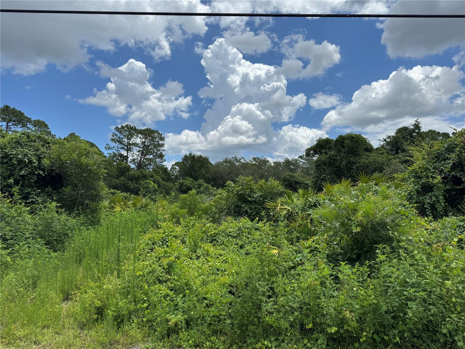 ST JOHNS RIVER ESTATES UNIT 01 - Land