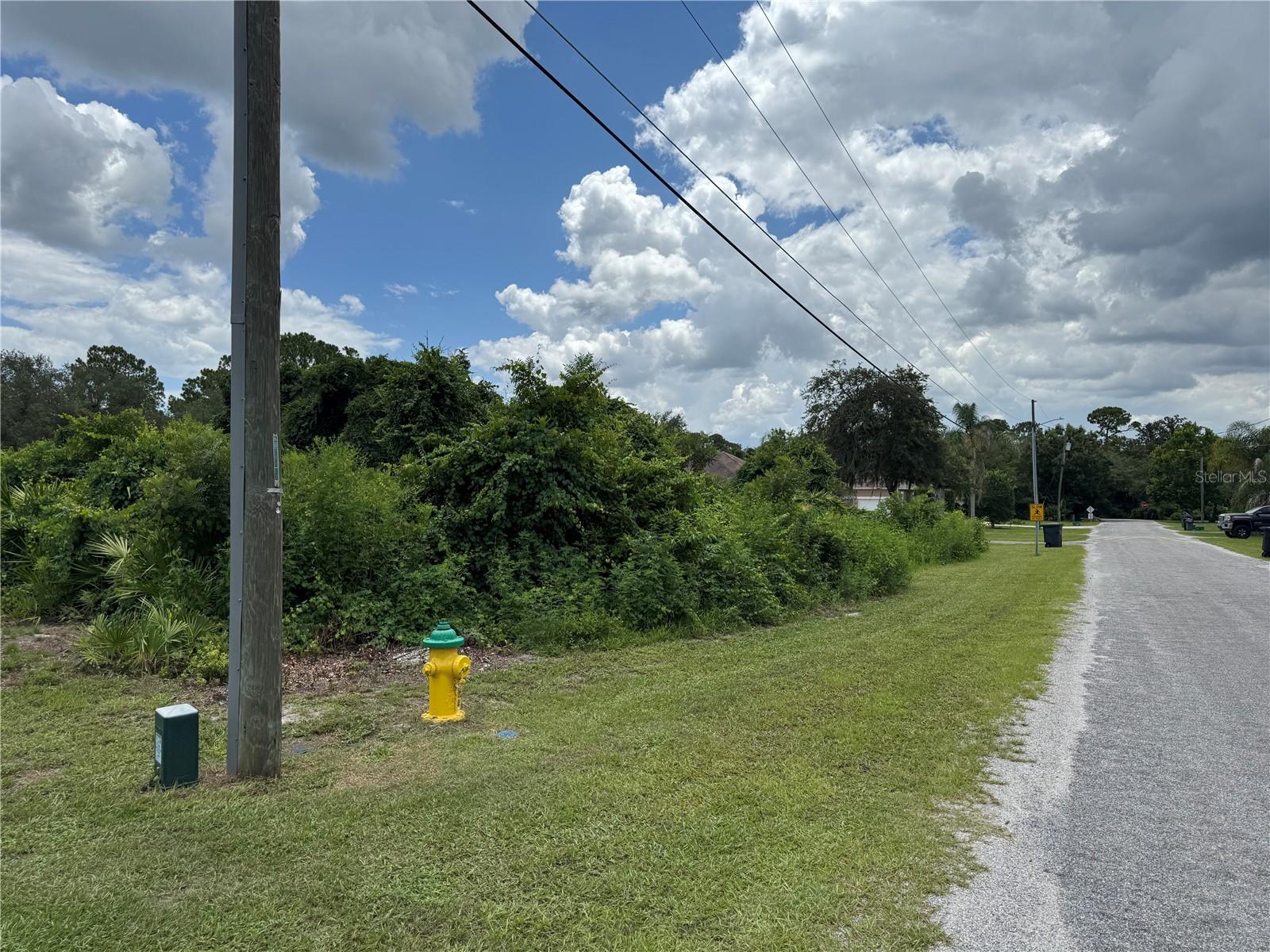 ST JOHNS RIVER ESTATES UNIT 01 - Land
