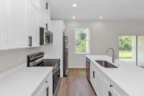 LAKES EDGE - Residential