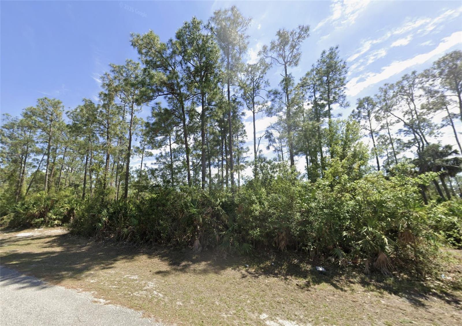 LEHIGH ACRES - Land