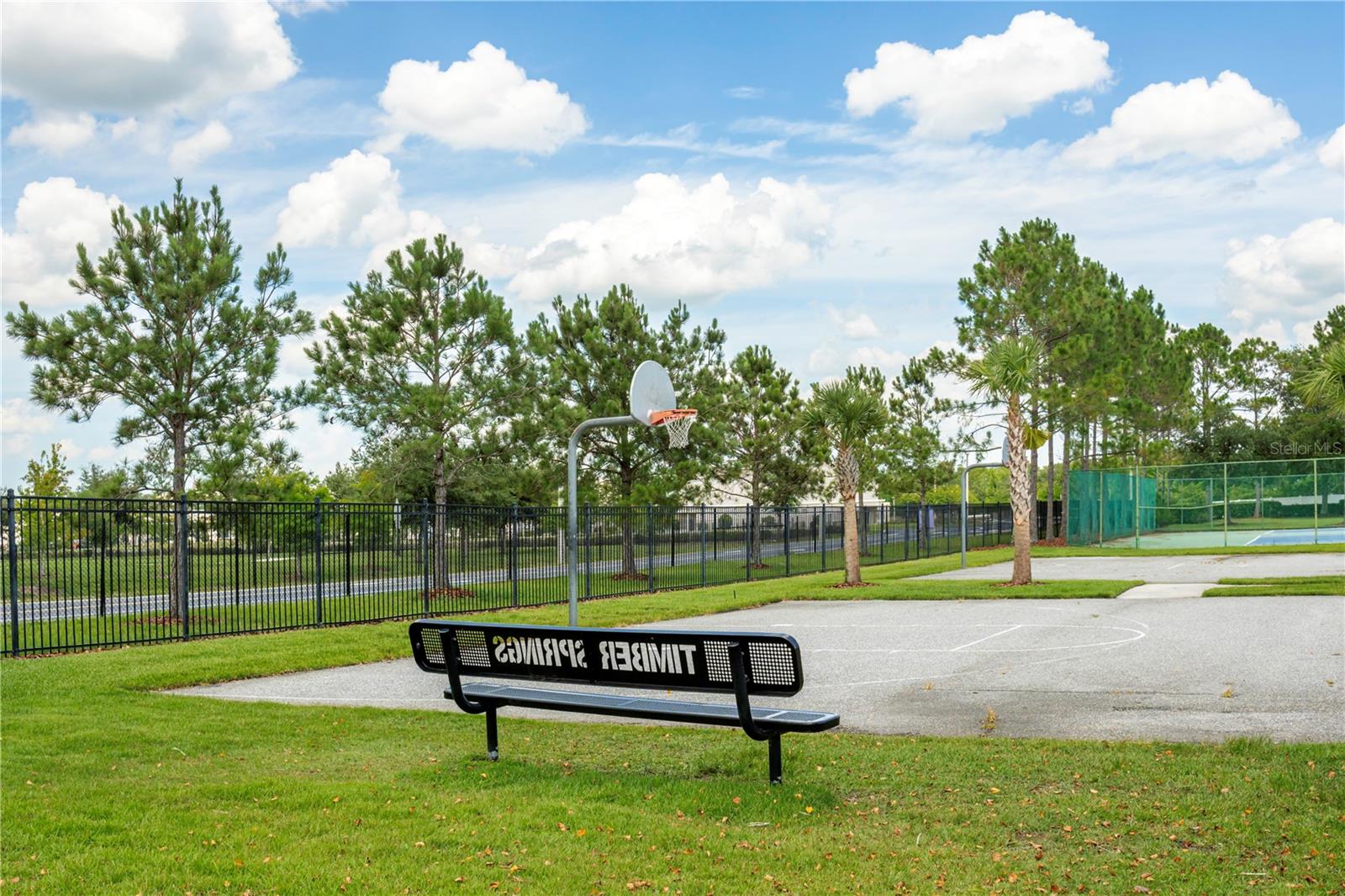 AVALON PARK/BRISTOL ESTATES AT TIMBER SPRINGS - Residential