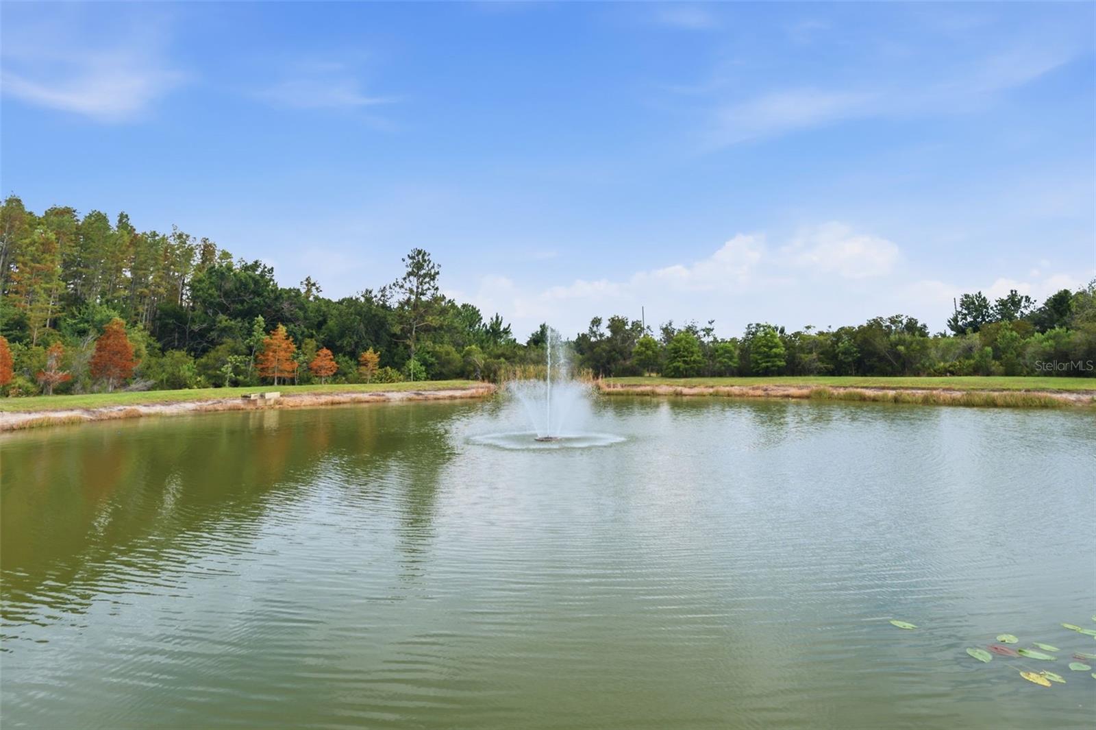 WINDERMERE ESTATES - Residential
