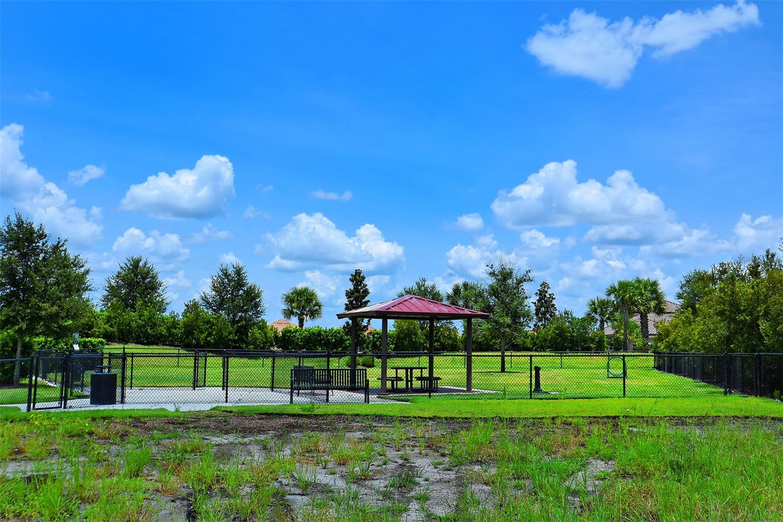 BACCIANO III AT ESPLANADE LAKEWOOD RANCH - Residential