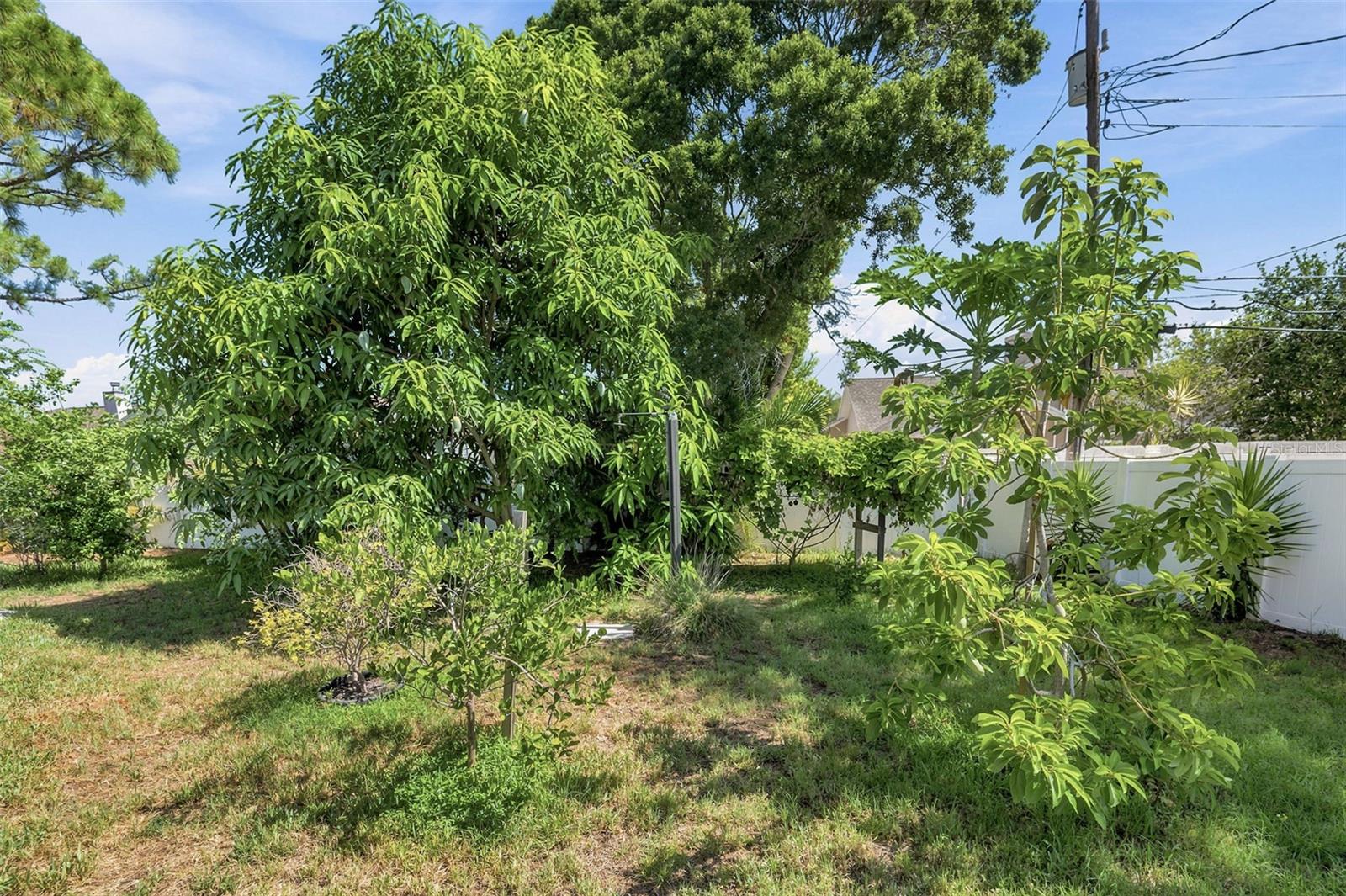 YACHT CLUB ESTATES - Residential