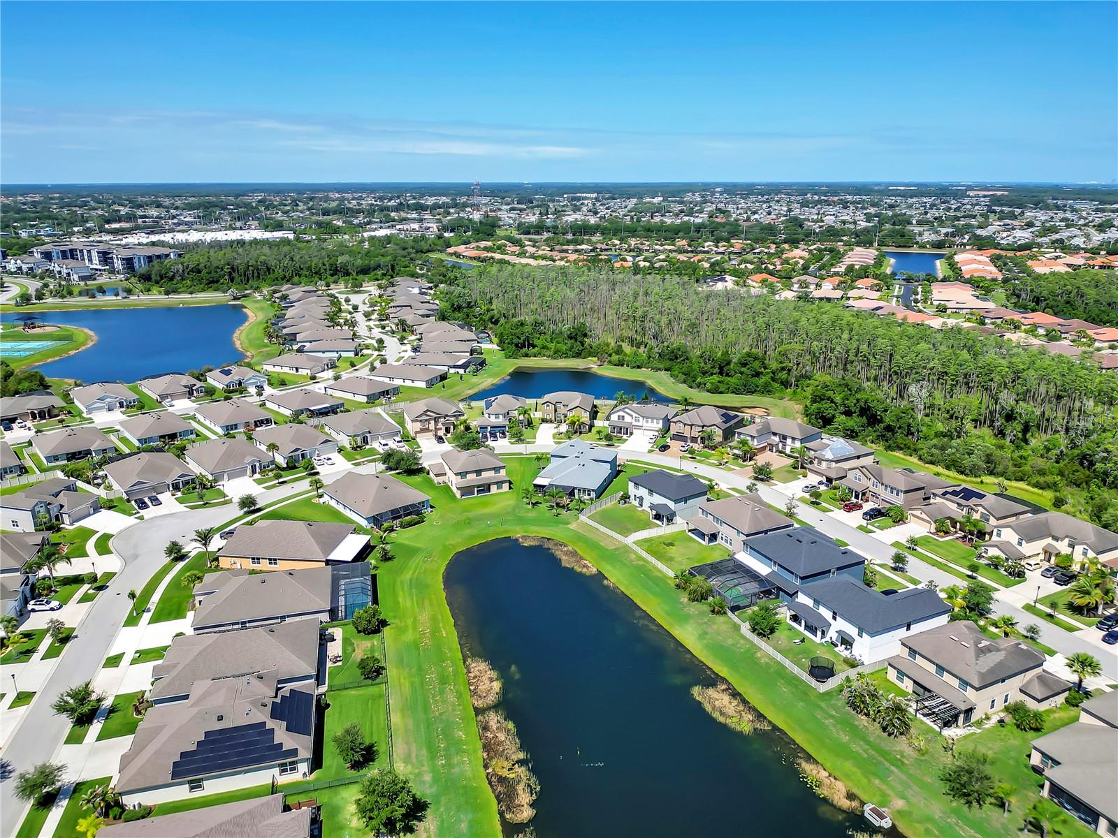 DG FARMS PH 2B - Residential