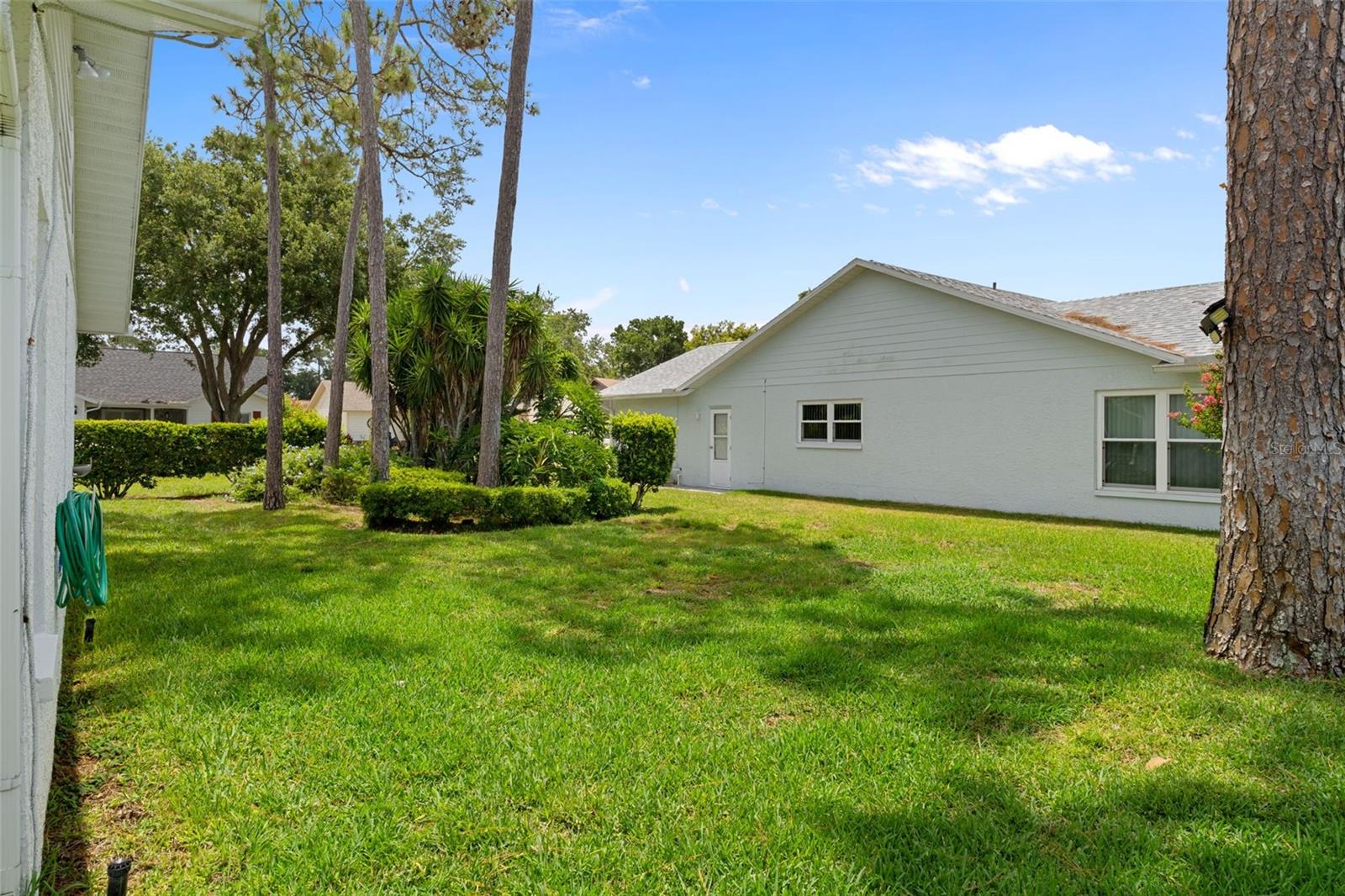 TIMBER PINES - Residential