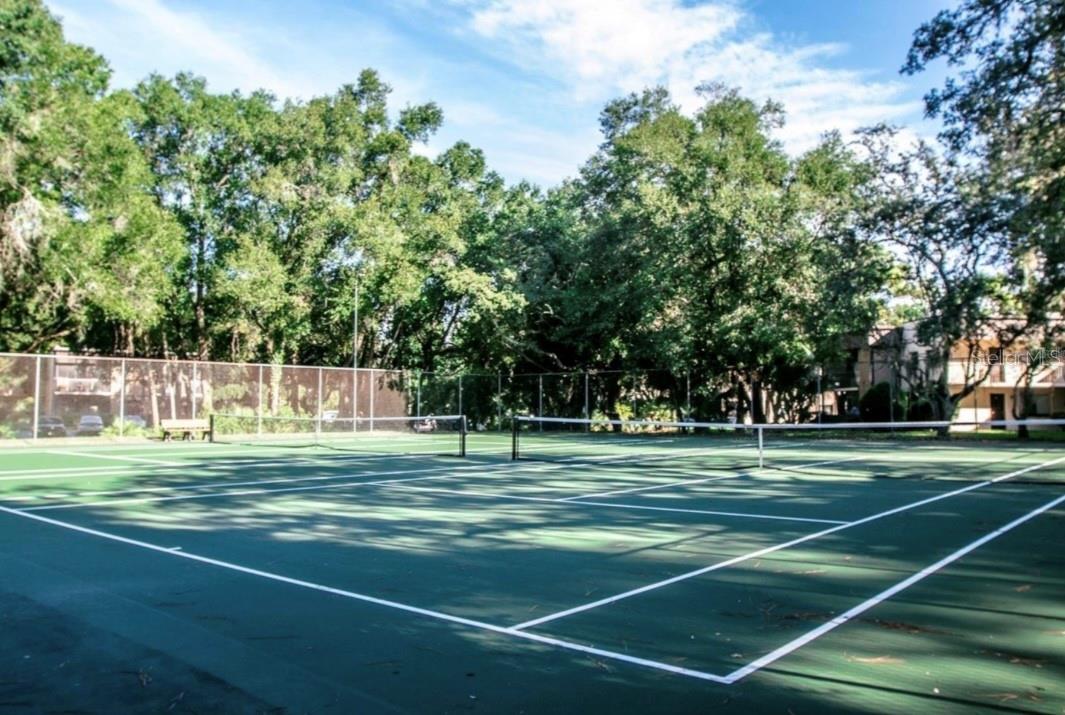 RAINTREE VILLAGE CONDO N - Residential