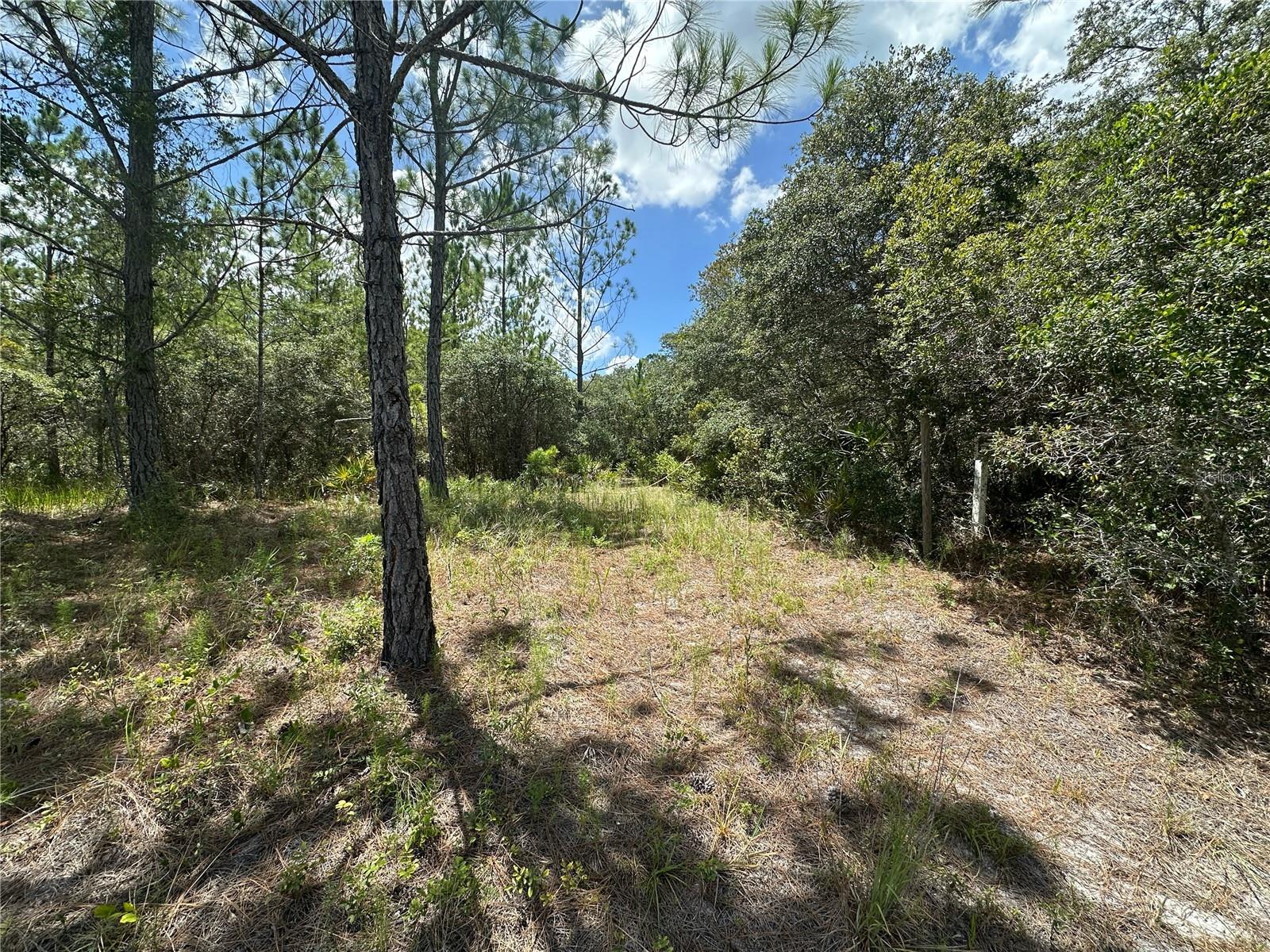 * * PRICED TO SELL * *  Discover this beautiful 32.47 Acre vacant parcel fronting scenic Fisher Road in Ocklawaha, Florida—Zoned R E (Residential Estate) for low-density Residential or Agricultural use, with No HOA. The property includes an existing POTABLE WATER WELL (suitable for drinking); a pump and pressure tank will need to be installed to make it operational. The R E (Residential Estate) zoning supports large-lot, single-family homes and allows accessory agricultural or rural uses—such as barns, home-based farming, or certain agricultural structures—consistent with its intent to foster low-density estate development on spacious parcels (note: Specific Use Allowances Should Be Confirmed Via County Zoning Codes). Located near the tranquil Malauka Road & Malauka Loop area and just minutes from Silver Springs Shores, this parcel offers serene rural living with easy access to community parks, trails, and amenities in Ocala. Whether you're planning a homestead, agricultural use, or long-term land holding, this versatile site provides excellent opportunity. While precise boundary dimensions are not publicly recorded, the acreage is verified through Marion County property appraiser and GIS data. The Buyer / Buyer’s Agent to independently verify (Due Diligence) all Zoning, Utility Availability, Permitting, and Property Specifics. All information provided in this report is believed true and accurate at data entry but not guaranteed.