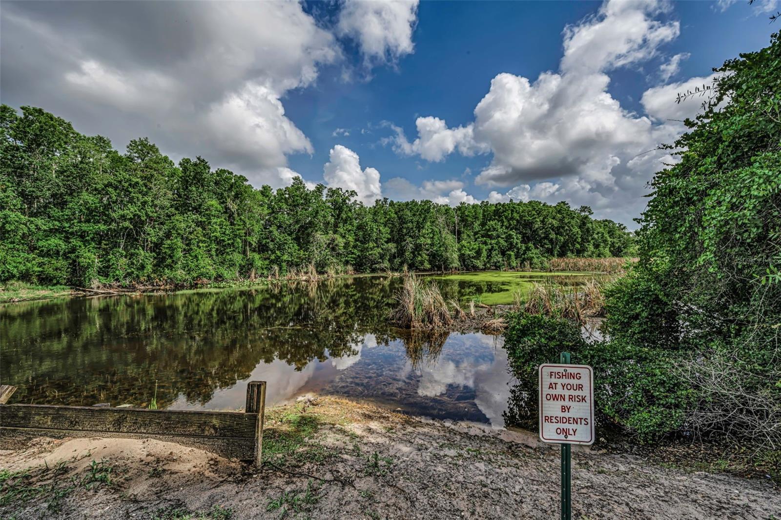 BAYWOOD MDWS PH 1 - Residential