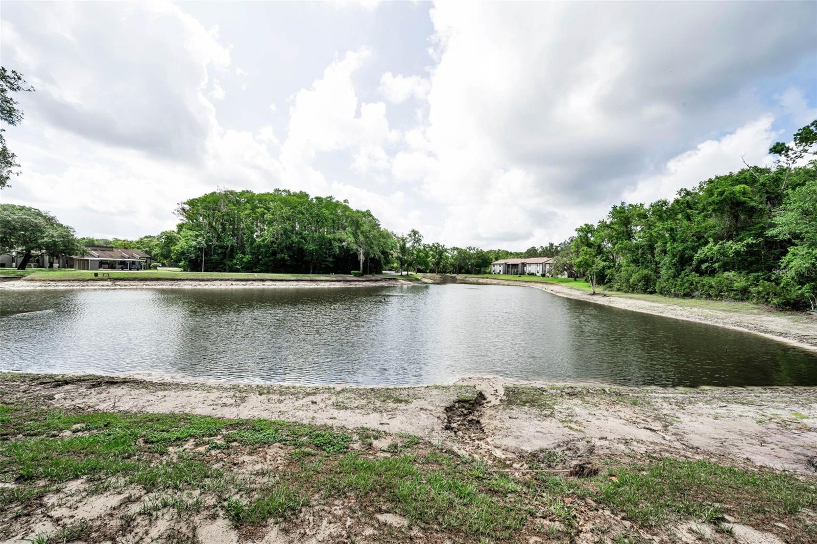 BAYWOOD MDWS PH 1 - Residential