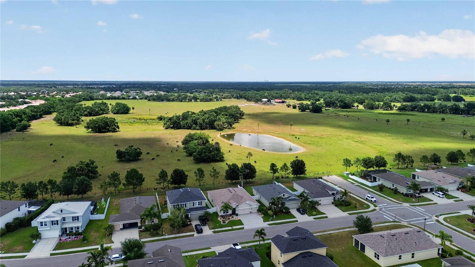 DEL TIERRA PHASE II - Residential