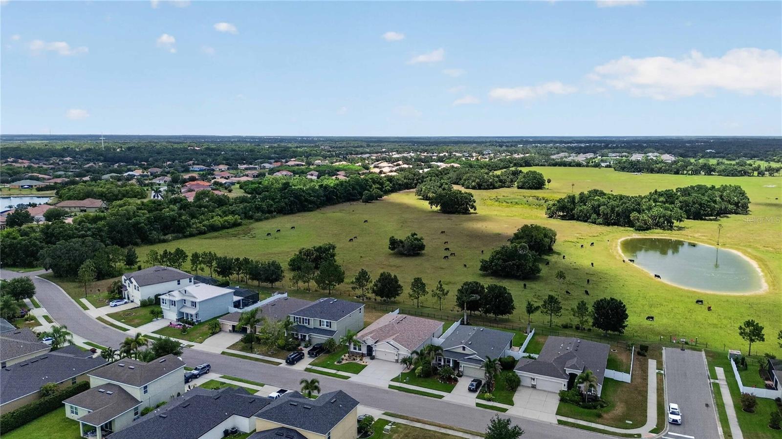 DEL TIERRA PHASE II - Residential