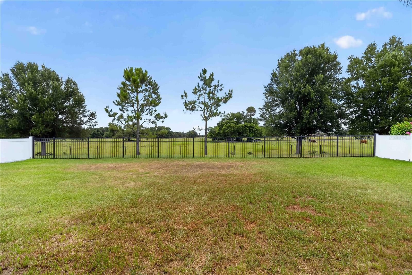 DEL TIERRA PHASE II - Residential