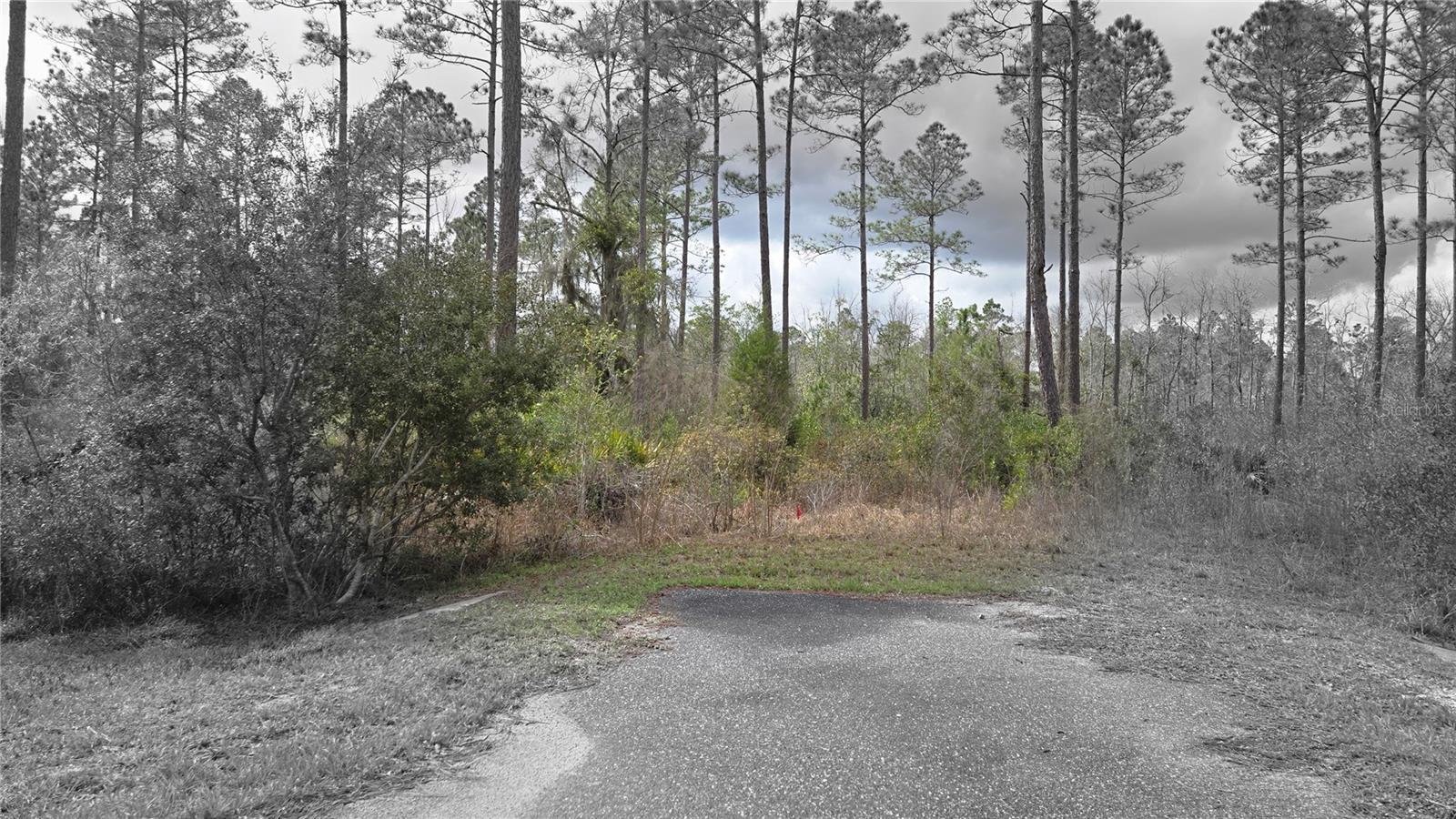 WOODS AT FALLING CREEK - Land