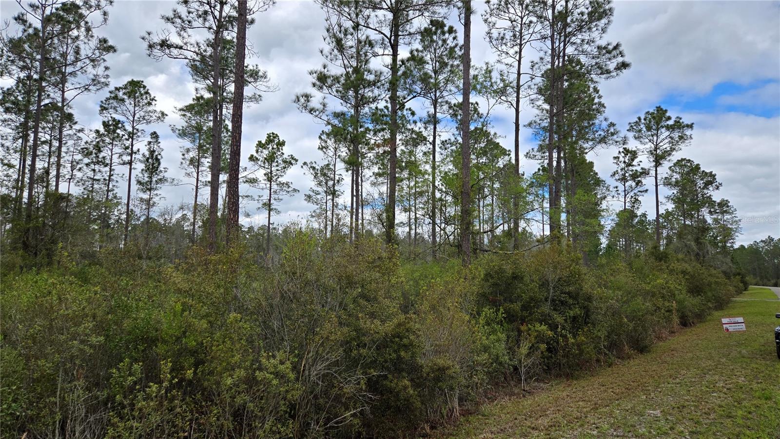 WOODS AT FALLING CREEK - Land