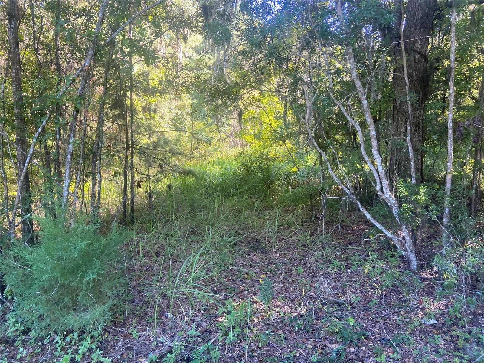 FLEMINGTON RANCHES ADD 01 - Land