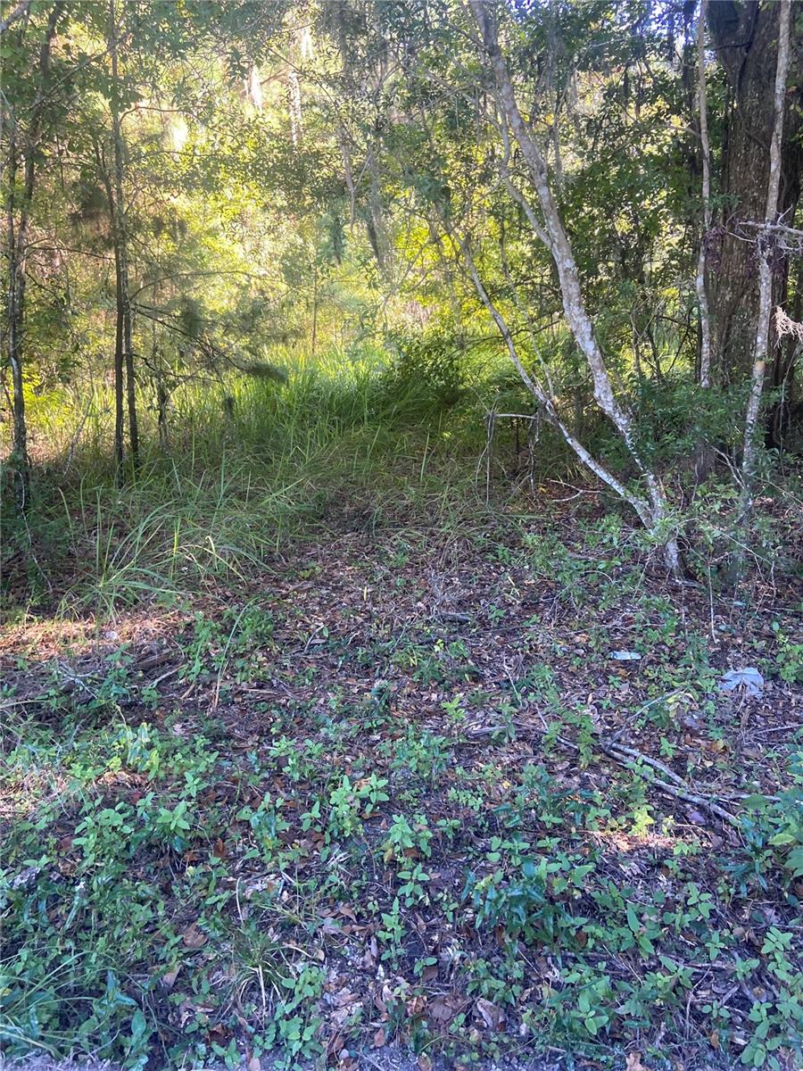 FLEMINGTON RANCHES ADD 01 - Land
