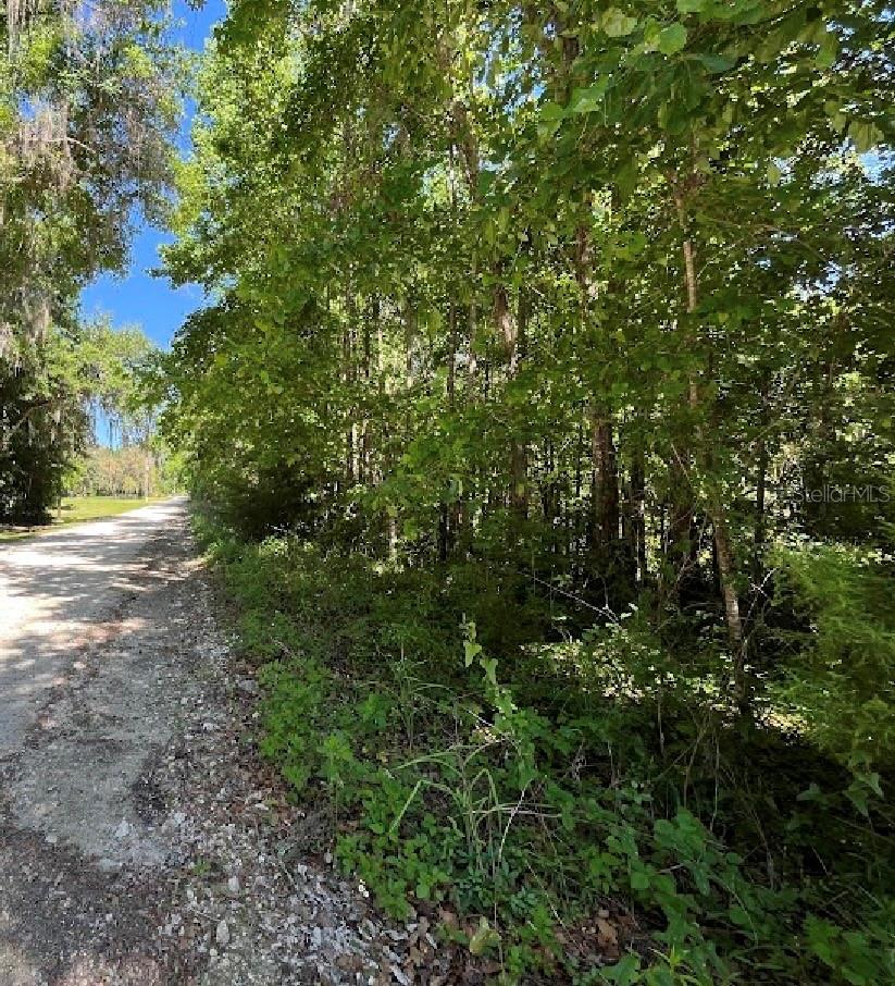 Discover the perfect blend of privacy and convenience with this 4.12-acre corner property in the peaceful countryside of Williston, Florida. This beautiful parcel is already equipped with electricity, a private well, and septic, making it an excellent opportunity for your dream home, manufactured home, weekend retreat, or future investment.
The corner location offers multiple access options and added flexibility for your building plans while providing plenty of space for gardens, recreational vehicles, animals, or additional outbuildings. Enjoy the tranquility of rural living without sacrificing convenience, with easy access to Williston, Ocala, Gainesville, and nearby outdoor recreation.
Whether you're ready to build now or invest for the future, this improved acreage is a rare opportunity to own a versatile property with essential utilities already in place. Bring your vision and make this North Central Florida property your own!
