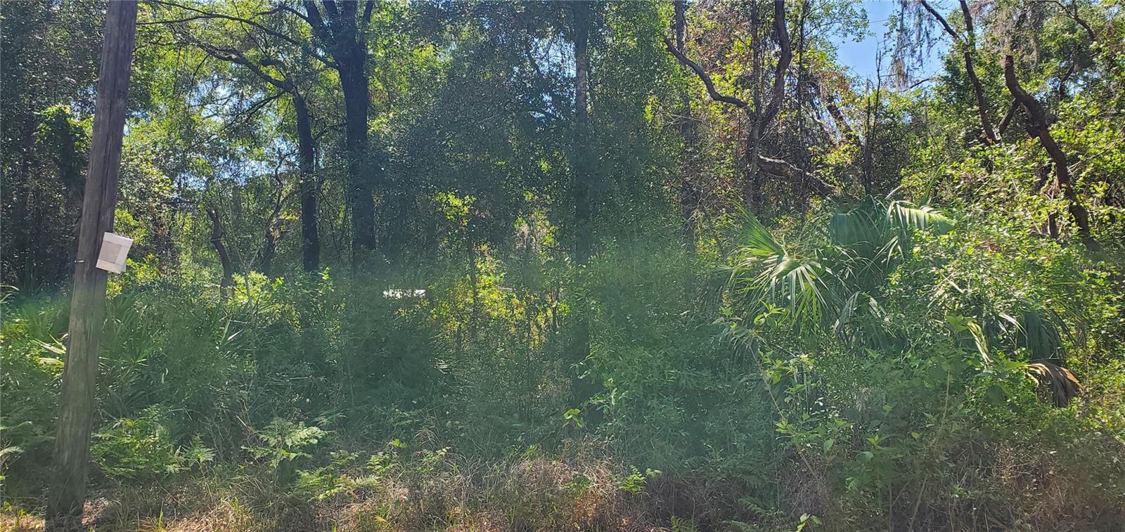 This property is 2 lots wooded close to moon lake road.  This provides a opportunity to build your dream home or hold on for future growth in the expanding New Port Richey area!   Moon Lake Estates community is zoned Agricultural Residential. With no HOA, no CDD and no flood insurance needed, this location offers a peaceful, country-style setting while still keeping you close to shopping, dining, schools, hospitals, entertainment and major roadways.