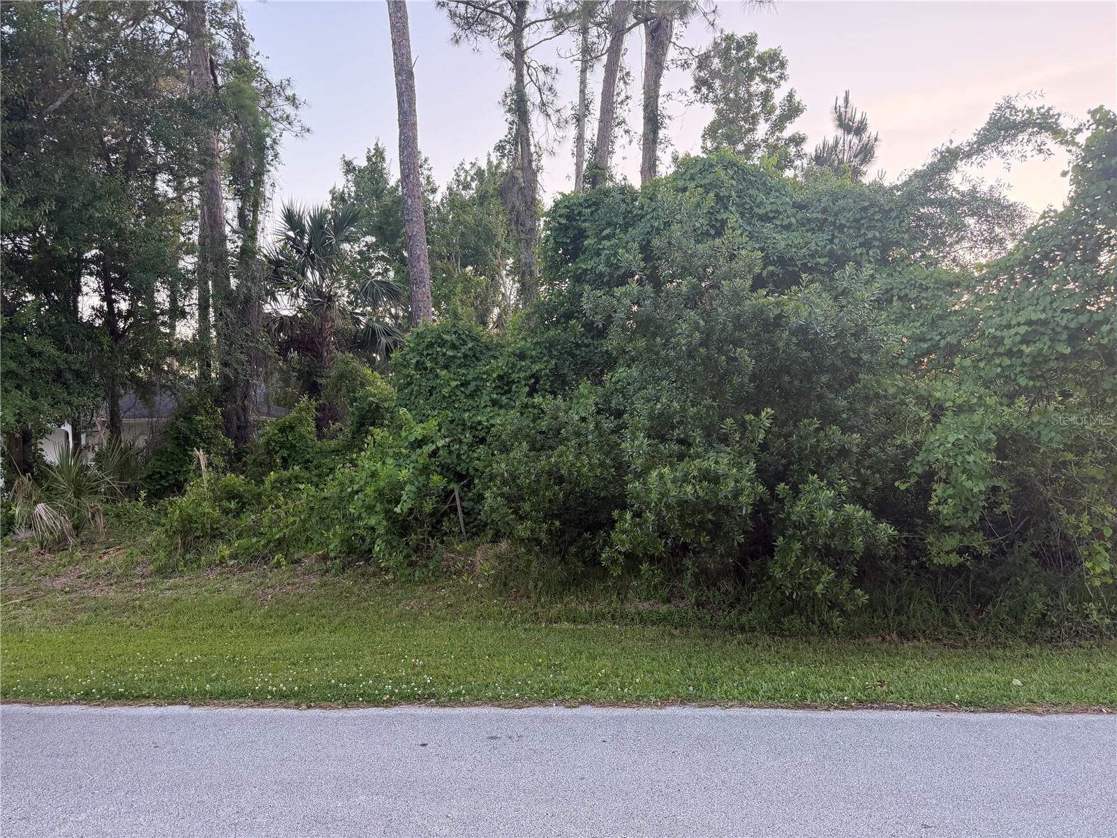 Buy now build later! Build your new home in this  Lovely Pine lakes community !. Close to the golf course, churches and restaurants ! Close to the New Advent Hospital .
