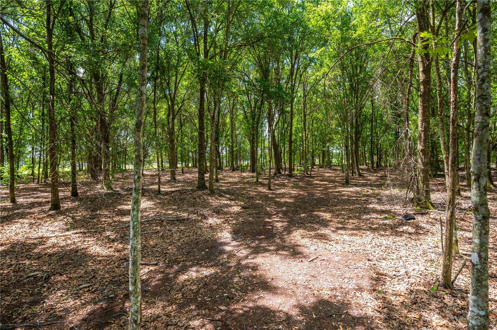 EVANS ACRES - Residential