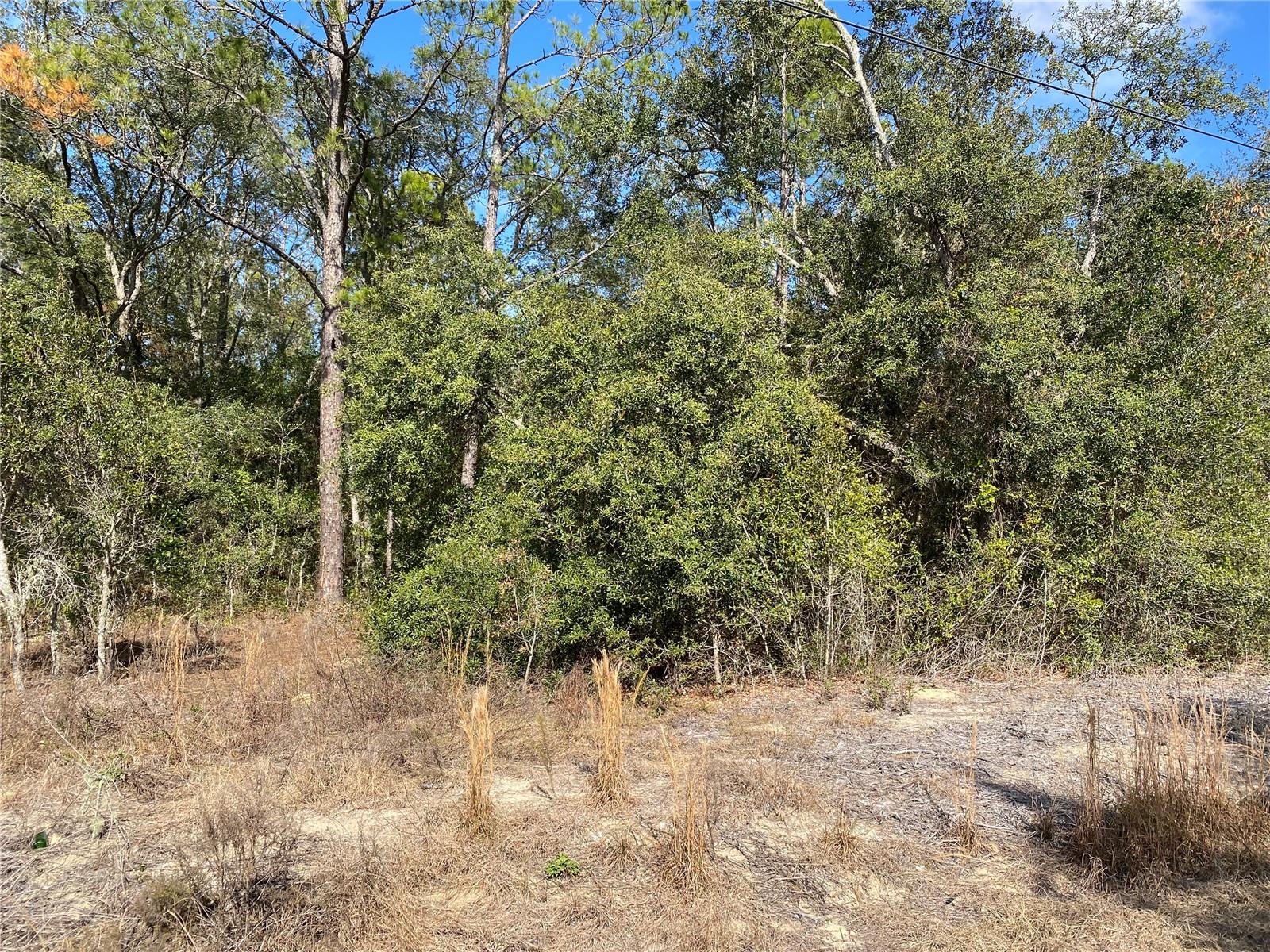 Build your dream home in one of Central Florida’s hidden gems! Located in the peaceful and growing community of Rainbow Lakes Estates, this beautiful 0.24-acre vacant lot offers the perfect opportunity to invest, build, or secure a future homesite at an attractive price point. Surrounded by Florida’s natural beauty, this property provides a quiet lifestyle while remaining conveniently close to shopping, dining, outdoor recreation, and the crystal-clear Rainbow Springs area.

Enjoy paved roads, a welcoming neighborhood atmosphere, and easy access to nearby parks, trails, lakes, and the famous Rainbow River. Whether you are looking to build your primary residence, a vacation retreat, or hold as a long-term investment, this property offers excellent potential in a rapidly developing area of Marion County.

No flood zone. No time limit to build. Take advantage of affordable Florida land ownership while opportunities in this area remain highly accessible.

- Conveniently located near Ocala, Gainesville, Dunnellon, and the Gulf Coast
- Peaceful residential setting with strong future growth potential
- Ideal for custom home construction or investment portfolio expansion

Don’t miss this chance to own a piece of Florida paradise at an exceptional value!