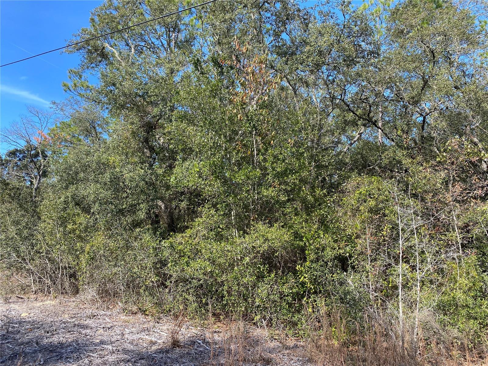 RAINBOW LAKES ESTATE - Land