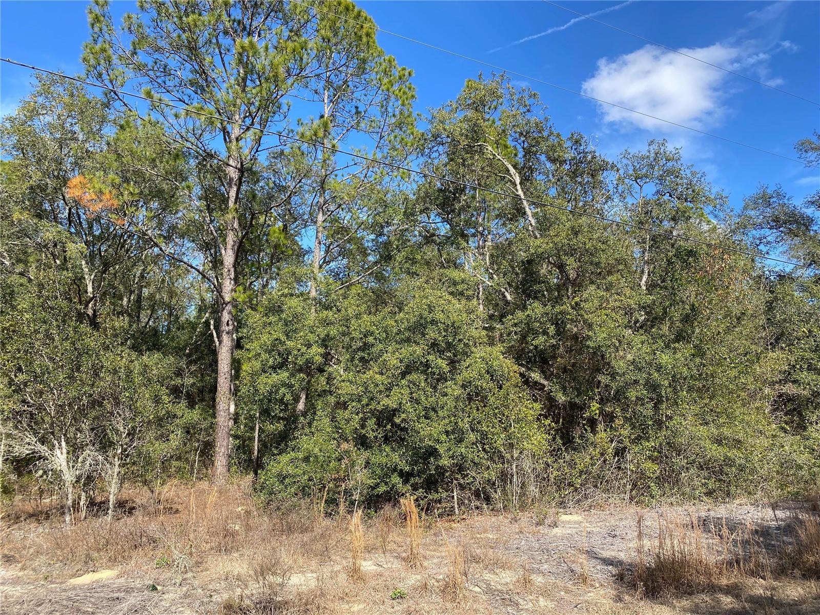 RAINBOW LAKES ESTATE - Land