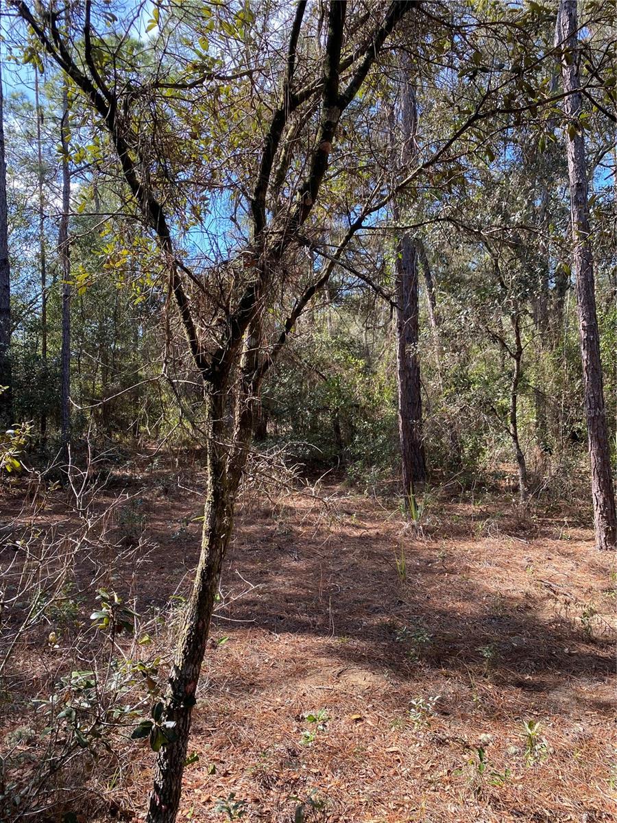 RAINBOW LAKES ESTATE - Land