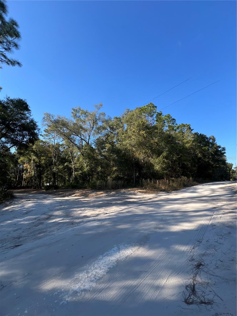 SILVER SPGS ACRES - Land