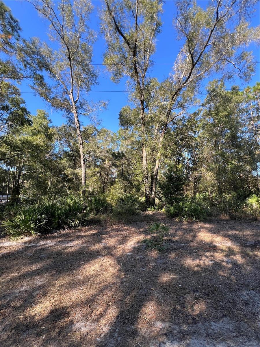 SILVER SPGS ACRES - Land
