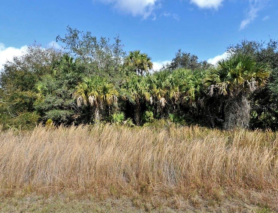 NICE BUILDABLE OVERSIZED LOT! NOT IN A FLOOD ZONE!! COME AND BUILD YOUR DREAM HOME AND ENJOY FLORIDA!!