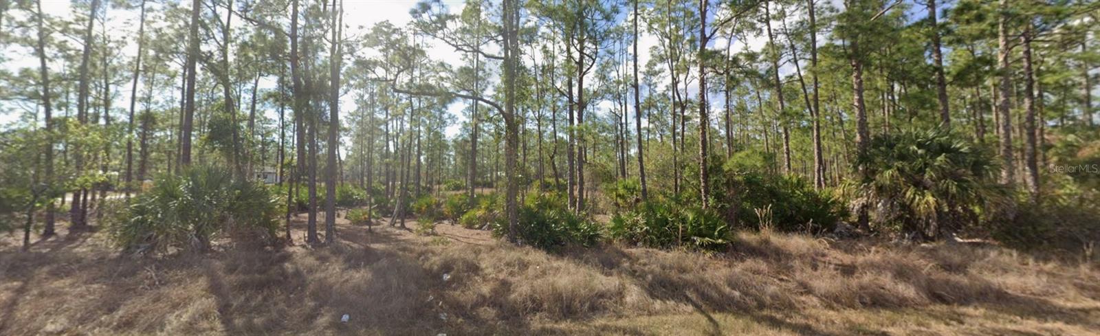 LEHIGH ACRES - Land