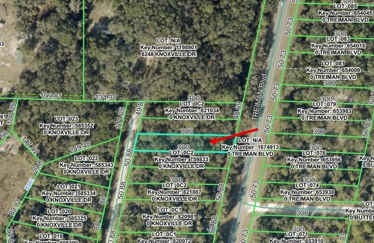 Build Your Dream Home on this .34-acre lot! Located in Hernando County with no HOA! Quiet country setting yet easy commute to Tampa (About 45 miles), Orlando (About 56 miles) or Ocala (about 53) via I75.  Close to downtown Dade City (About 13 miles) and Brooksville (about 18 miles) with monthly and annual events. About 8 miles to shopping center with restaurants, shops and Interstate I-75 or to downtown Bushnell (about 9 miles). Close to Withlacoochee State Trail, Silver Lake (about 10 miles) with camping, fishing and boating, hiking, birding and hunting at the Croom Wildlife management areas (about 15 miles). Croom Motorcycle Area with motor bike trails and camping (about 8 miles). Ridge Manor Community Park (about 4 miles) with playground, picnic pavilion and ball fields. Ridge Manor Community Center (about 4 miles) with community and social events.