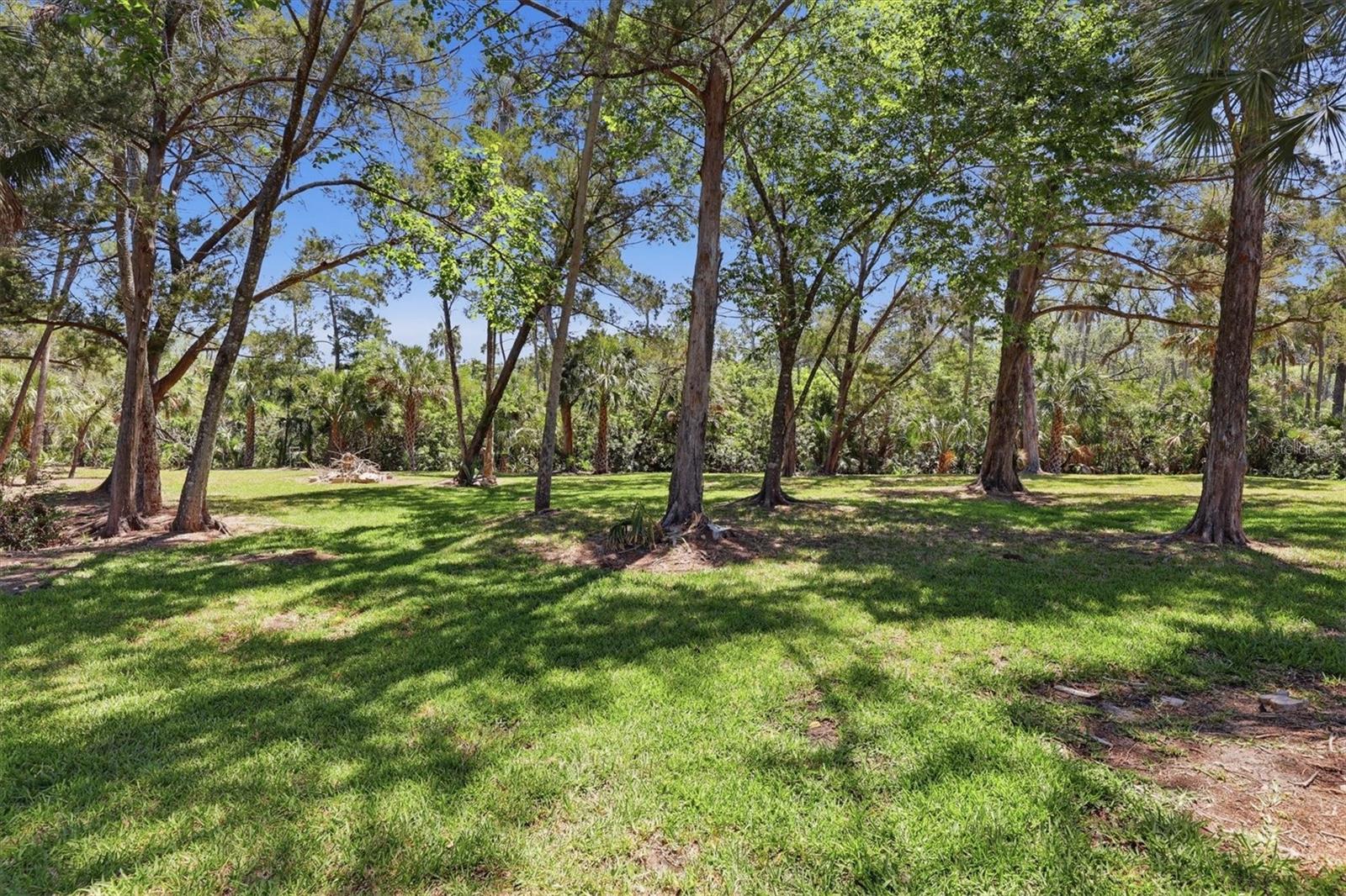 PALM GROVE COLONY - Land
