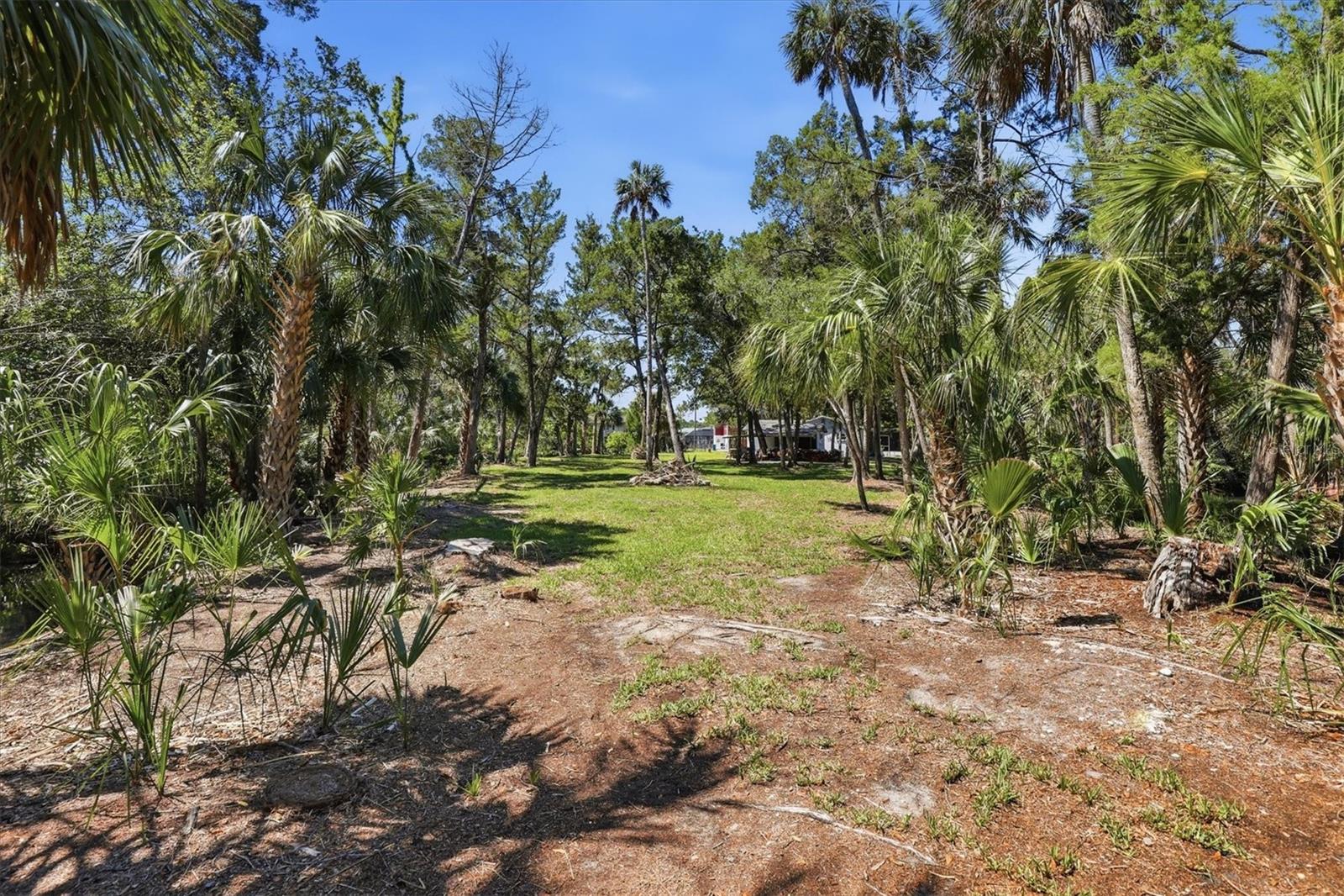 PALM GROVE COLONY - Land