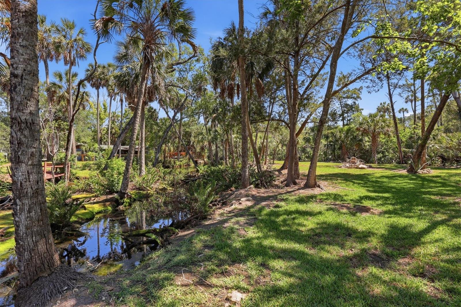 PALM GROVE COLONY - Land