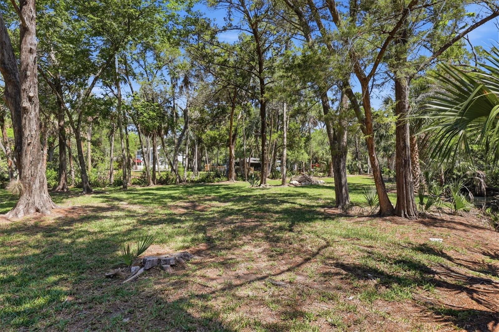 PALM GROVE COLONY - Land