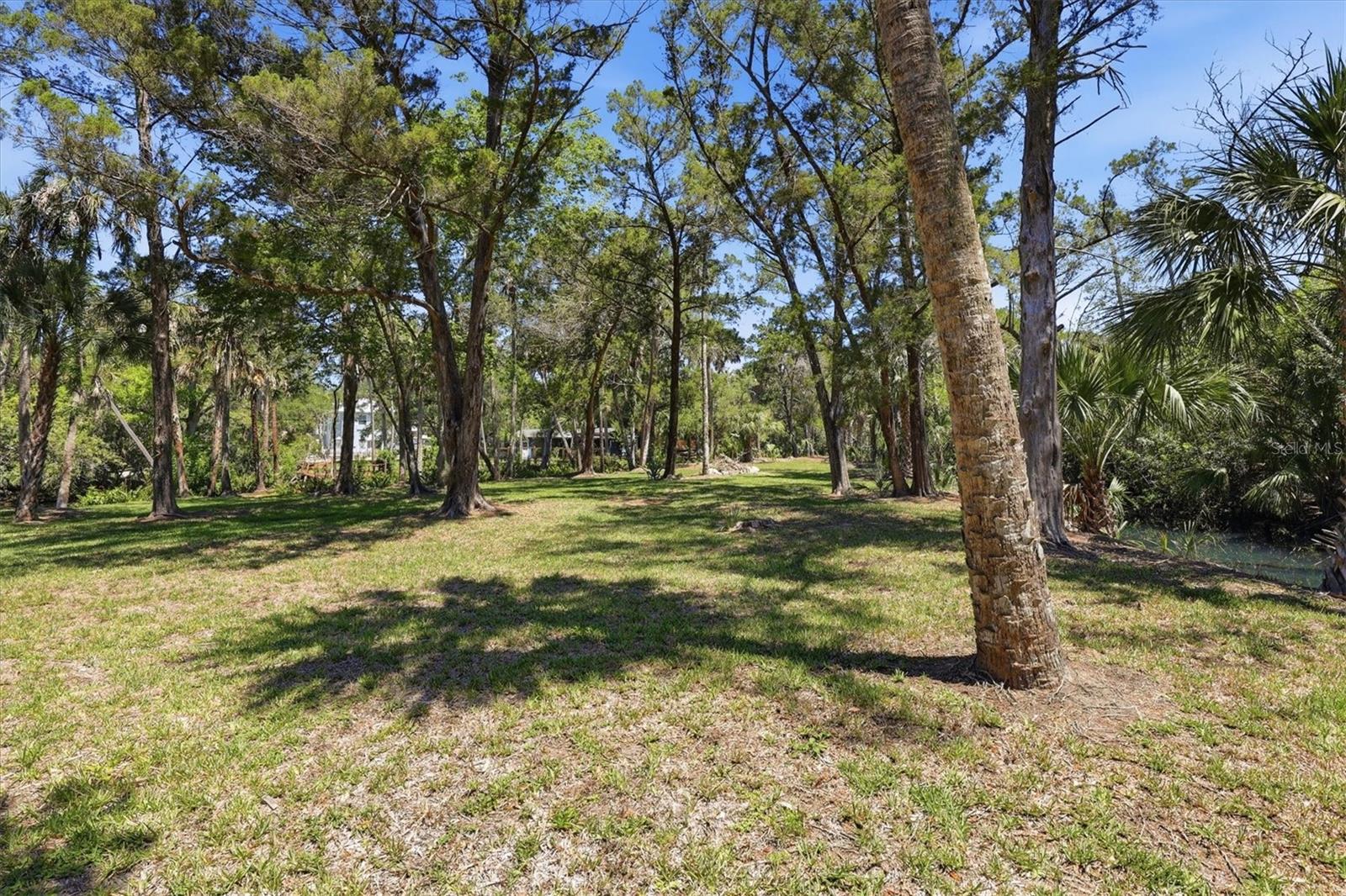 PALM GROVE COLONY - Land