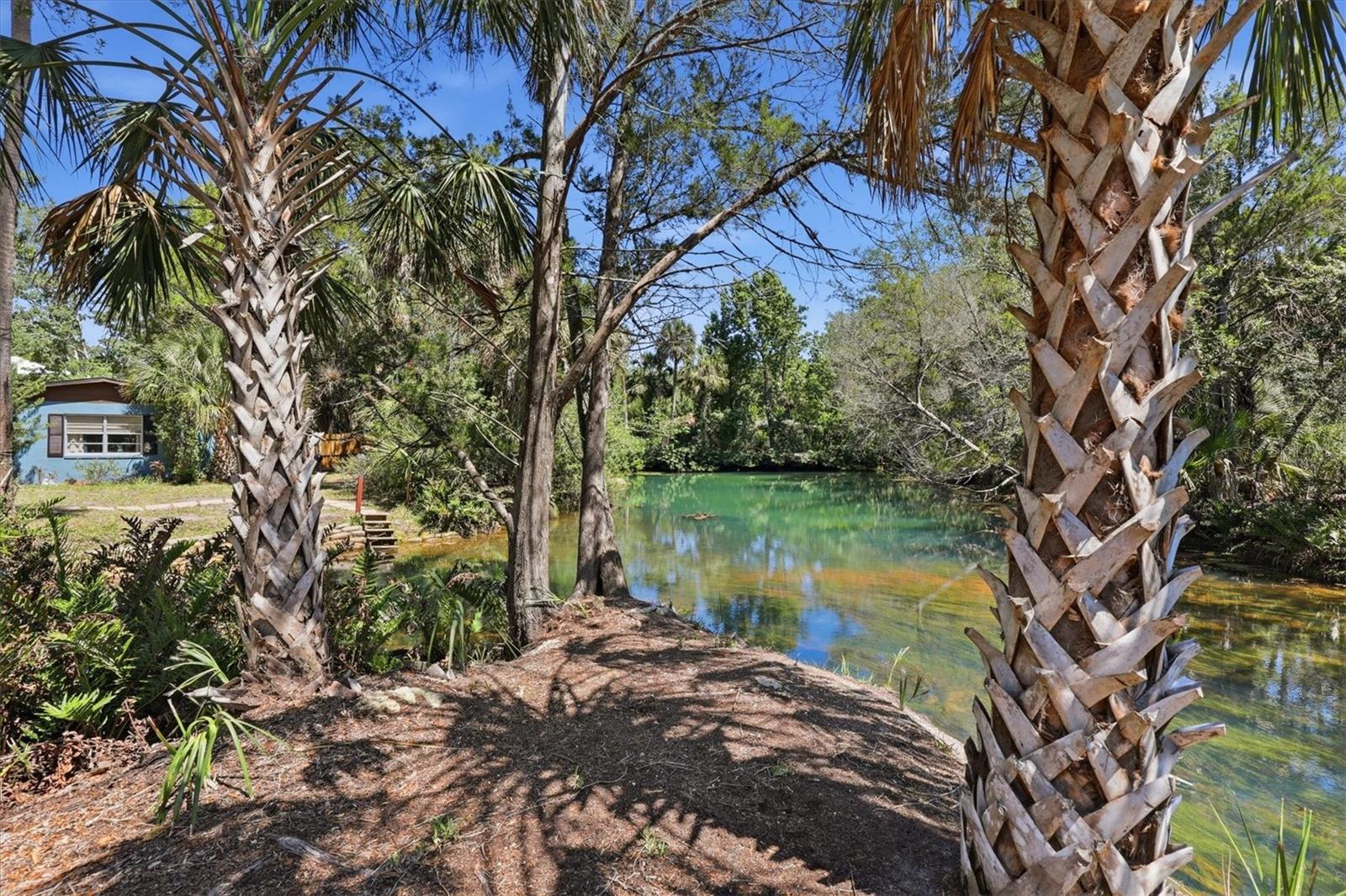 PALM GROVE COLONY - Land