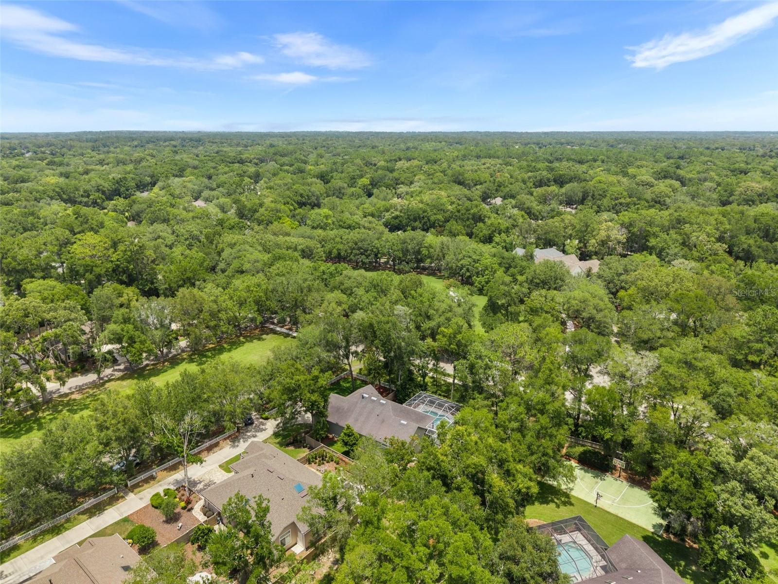 HAILE PLANTATION UNIT 33 PH I - Residential