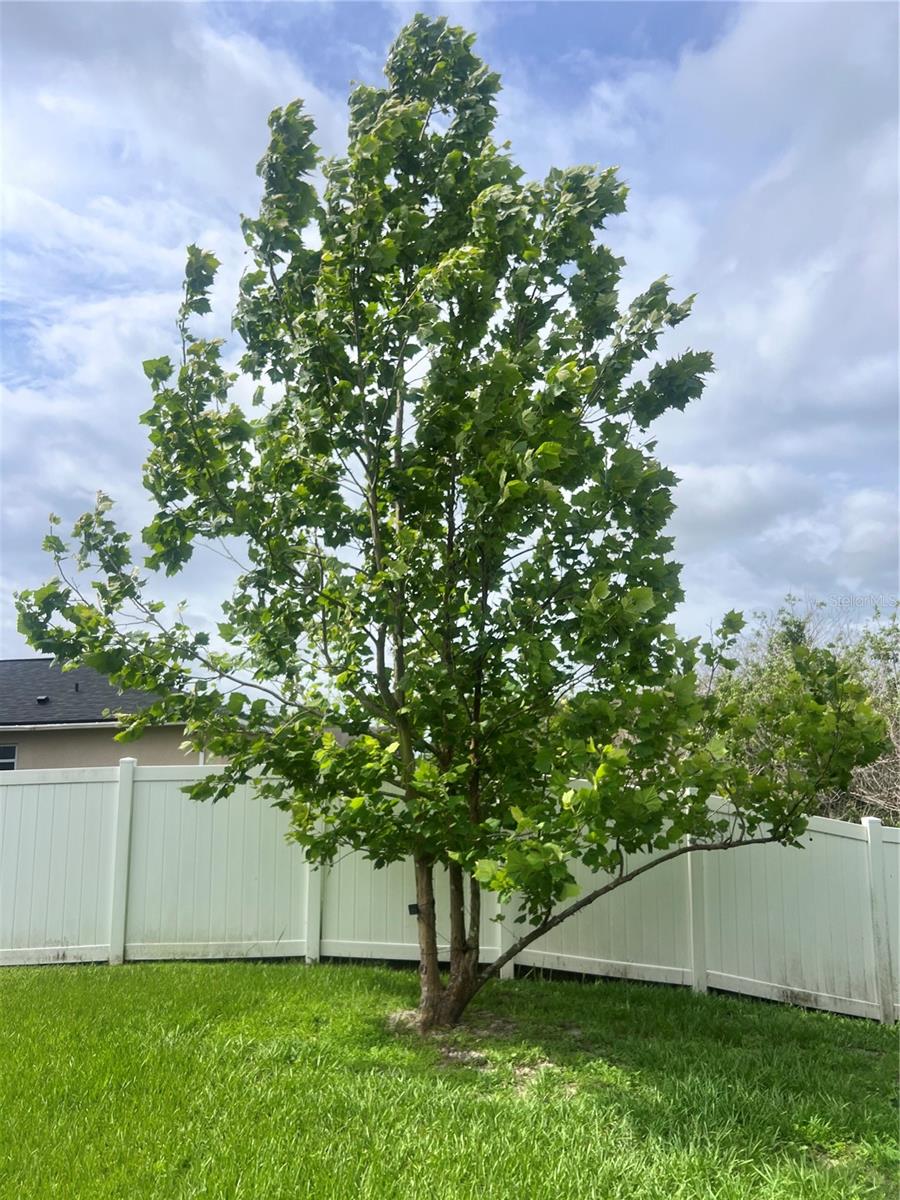 BRISTOL COVE AT DEER CREEK PH 2 - Residential