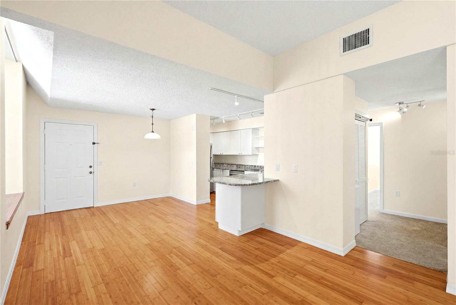 701 MIRROR LAKE CONDO - Residential