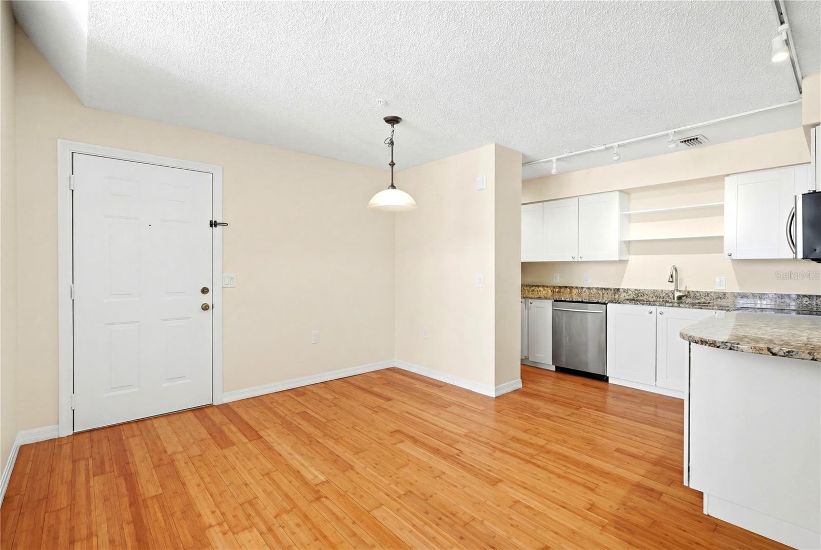 701 MIRROR LAKE CONDO - Residential